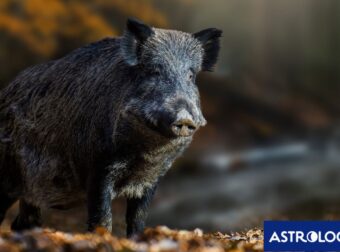 Διάβασε την προσωπική σου πρόβλεψη, για σήμερα 20/11/2025