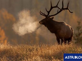 Διάβασε την προσωπική σου πρόβλεψη, για σήμερα 29/11/2025