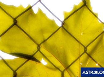 2 ζώδια θα αντιμετωπίσουν αρκετές προβληματικές καταστάσεις, σήμερα 08/11 – Δες, αν είσαι μέσα!