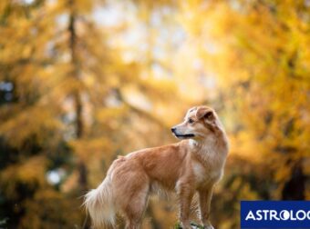 Διάβασε την προσωπική σου πρόβλεψη, για σήμερα 22/11/2025