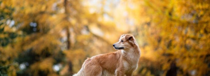Διάβασε την προσωπική σου πρόβλεψη, για σήμερα 22/11/2025