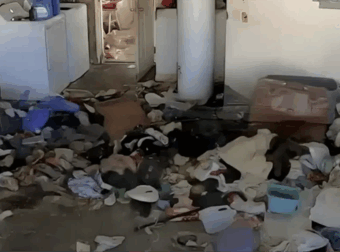 Βασιλιάδες της ακαταστασίας: Ποια είναι τα 3 πιο ανοργάνωτα ζώδια