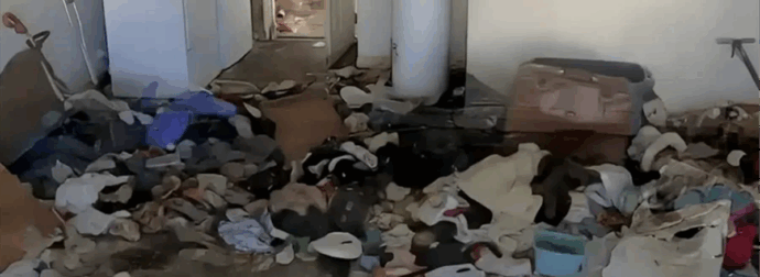 Βασιλιάδες της ακαταστασίας: Ποια είναι τα 3 πιο ανοργάνωτα ζώδια