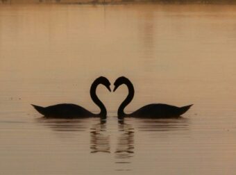 Ζώδια: Ξαφνικές αλλαγές σήμερα, 21/11 αλλά και γαλήνη