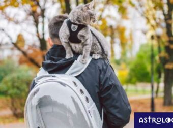 Τα ζώδια που συμπεριφέρονται στα κατοικίδιά τους σαν παιδιά τους