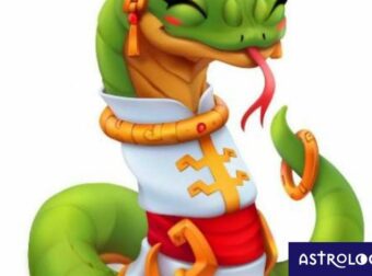 Κινέζικη Αστρολογία: Η καριέρα και τα οικονομικά του Φιδιού