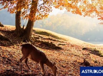 Διάβασε την προσωπική σου πρόβλεψη, για σήμερα 16/11/2025
