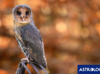 Διάβασε την προσωπική σου πρόβλεψη, για σήμερα 12/11/2025