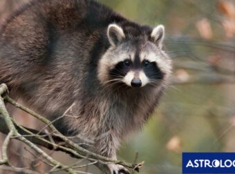 Διάβασε την προσωπική σου πρόβλεψη, για σήμερα 02/11/2025