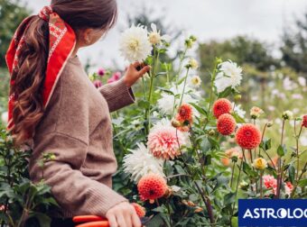 Ημερήσιες Προβλέψεις για όλα τα Ζώδια, 02/11: Μια ημέρα γεμάτη εξελίξεις