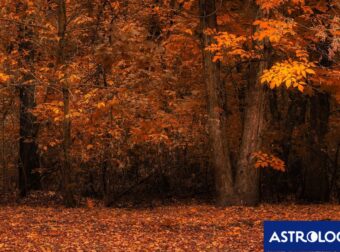 Διάβασε την προσωπική σου πρόβλεψη, για σήμερα 21/11/2025