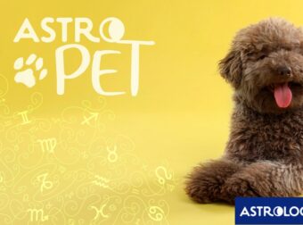 AstroPet από 04/11 έως 10/11: Εβδομαδιαίες προβλέψεις για το κατοικίδιό σου