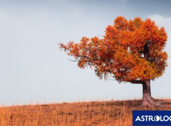 Διάβασε την προσωπική σου πρόβλεψη, για σήμερα 05/11/2025