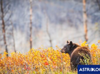 Διάβασε την προσωπική σου πρόβλεψη, για σήμερα 10/11/2025