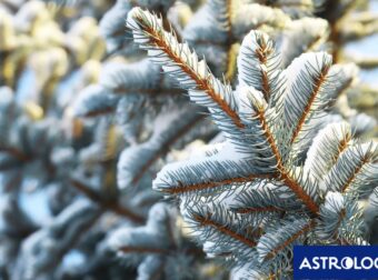 Διάβασε την προσωπική σου πρόβλεψη, για σήμερα 26/12/2025