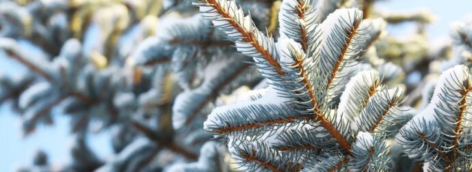 Διάβασε την προσωπική σου πρόβλεψη, για σήμερα 26/12/2025