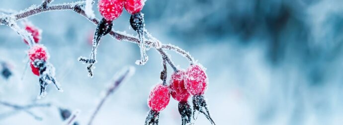 Διάβασε την προσωπική σου πρόβλεψη, για σήμερα 18/12/2025