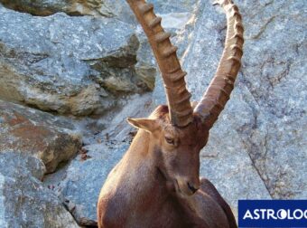 Ζώδια Σήμερα 22/12: Ήλιος στον Αιγόκερω – Καινούργιοι στόχοι