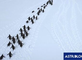 Διάβασε την προσωπική σου πρόβλεψη, για σήμερα 27/12/2025