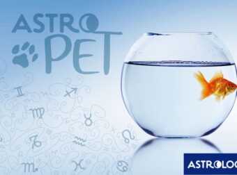 AstroPet από 02/12 έως 08/12: Εβδομαδιαίες προβλέψεις για το κατοικίδιό σου