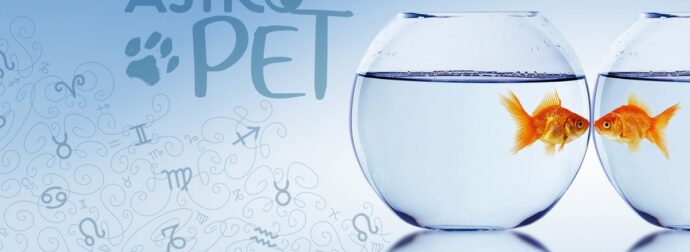 AstroPet από 02/12 έως 08/12: Εβδομαδιαίες προβλέψεις για το κατοικίδιό σου