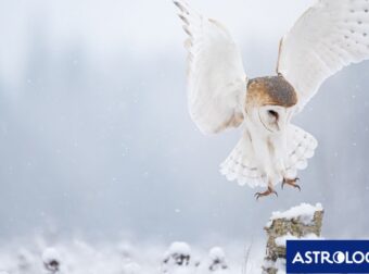 Διάβασε την προσωπική σου πρόβλεψη, για σήμερα 03/12/2025