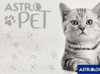 AstroPet από 16/12 έως 22/12: Εβδομαδιαίες προβλέψεις για το κατοικίδιό σου