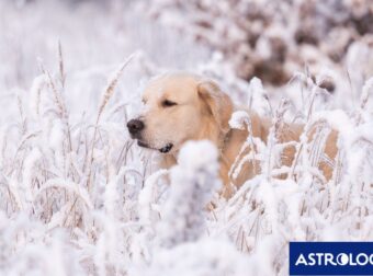 Διάβασε την προσωπική σου πρόβλεψη, για σήμερα 19/12/2025