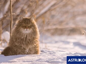 Διάβασε την προσωπική σου πρόβλεψη, για σήμερα 05/12/2025