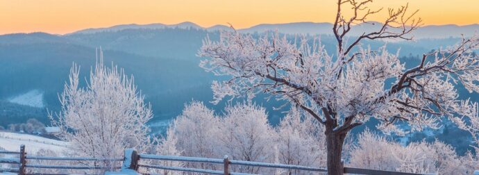 Διάβασε την προσωπική σου πρόβλεψη, για σήμερα 29/12/2025