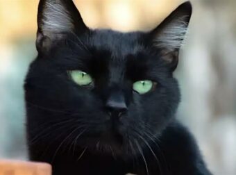 Τα 3 άτυχα ζώδια του 2026 – Θα δοκιμαστούν περισσότερο από όλους