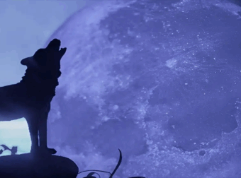 Το «Φεγγάρι του Λύκου» έρχεται στις 3 Ιανουαρίου – Η πρώτη πανσέληνος του 2026 επηρεάζει τρία ζώδια