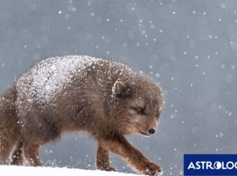 Διάβασε την προσωπική σου πρόβλεψη, για σήμερα 21/12/2025