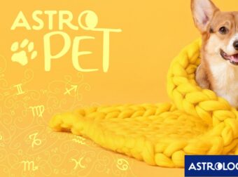 AstroPet από 09/12 έως 15/12: Εβδομαδιαίες προβλέψεις για το κατοικίδιό σου
