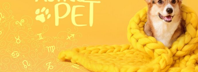 AstroPet από 09/12 έως 15/12: Εβδομαδιαίες προβλέψεις για το κατοικίδιό σου