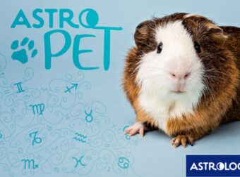 AstroPet από 30/12 έως 05/01: Εβδομαδιαίες προβλέψεις για το κατοικίδιό σου
