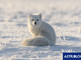 Διάβασε την προσωπική σου πρόβλεψη, για σήμερα 09/12/2025