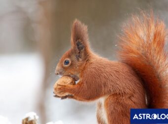 Διάβασε την προσωπική σου πρόβλεψη, για σήμερα 15/12/2025