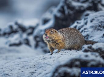 Διάβασε την προσωπική σου πρόβλεψη, για σήμερα 17/12/2025