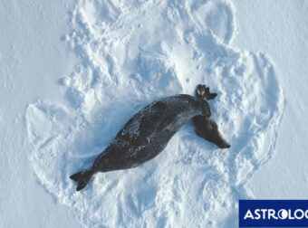 Διάβασε την προσωπική σου πρόβλεψη, για σήμερα 23/12/2025