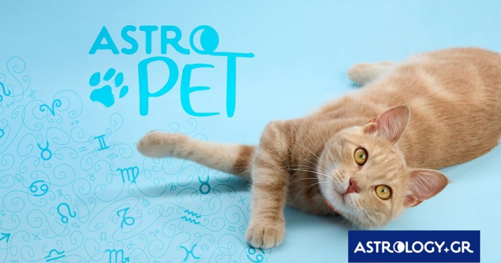 AstroPet από 20/01 έως 26/01: Εβδομαδιαίες προβλέψεις για το κατοικίδιό σου