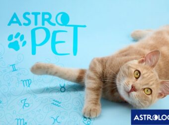 AstroPet από 20/01 έως 26/01: Εβδομαδιαίες προβλέψεις για το κατοικίδιό σου
