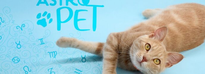 AstroPet από 20/01 έως 26/01: Εβδομαδιαίες προβλέψεις για το κατοικίδιό σου