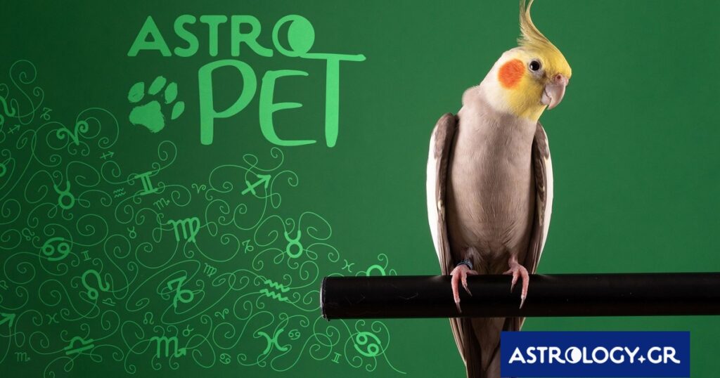 AstroPet από 27/01 έως 02/02: Εβδομαδιαίες προβλέψεις για το κατοικίδιό σου