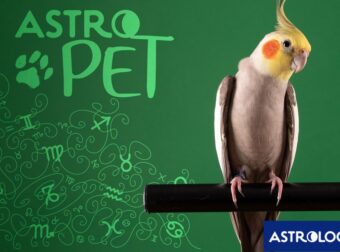 AstroPet από 27/01 έως 02/02: Εβδομαδιαίες προβλέψεις για το κατοικίδιό σου