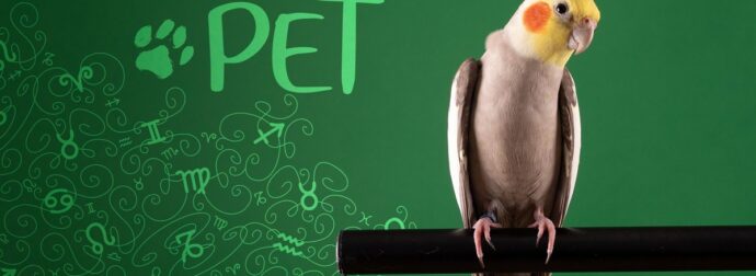 AstroPet από 27/01 έως 02/02: Εβδομαδιαίες προβλέψεις για το κατοικίδιό σου
