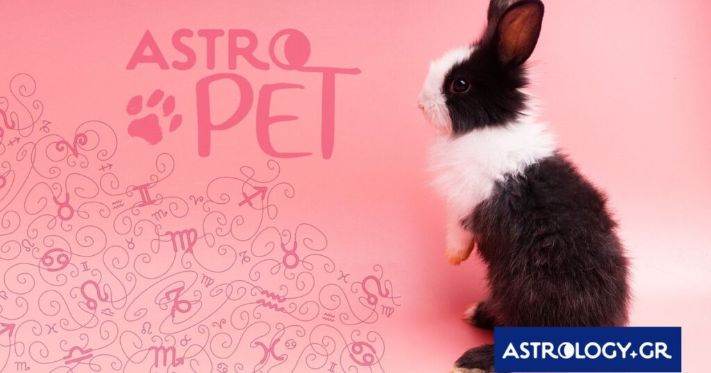 AstroPet από 13/01 έως 19/01: Εβδομαδιαίες προβλέψεις για το κατοικίδιό σου