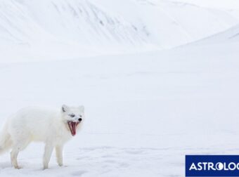 Διάβασε την προσωπική σου πρόβλεψη, για σήμερα 30/01/2026