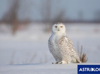 Διάβασε την προσωπική σου πρόβλεψη, για σήμερα 28/01/2026