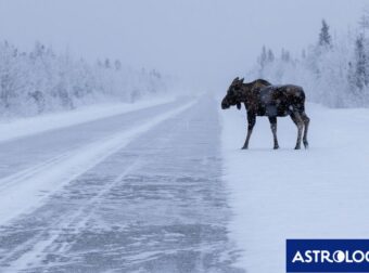 Διάβασε την προσωπική σου πρόβλεψη, για σήμερα 26/01/2026